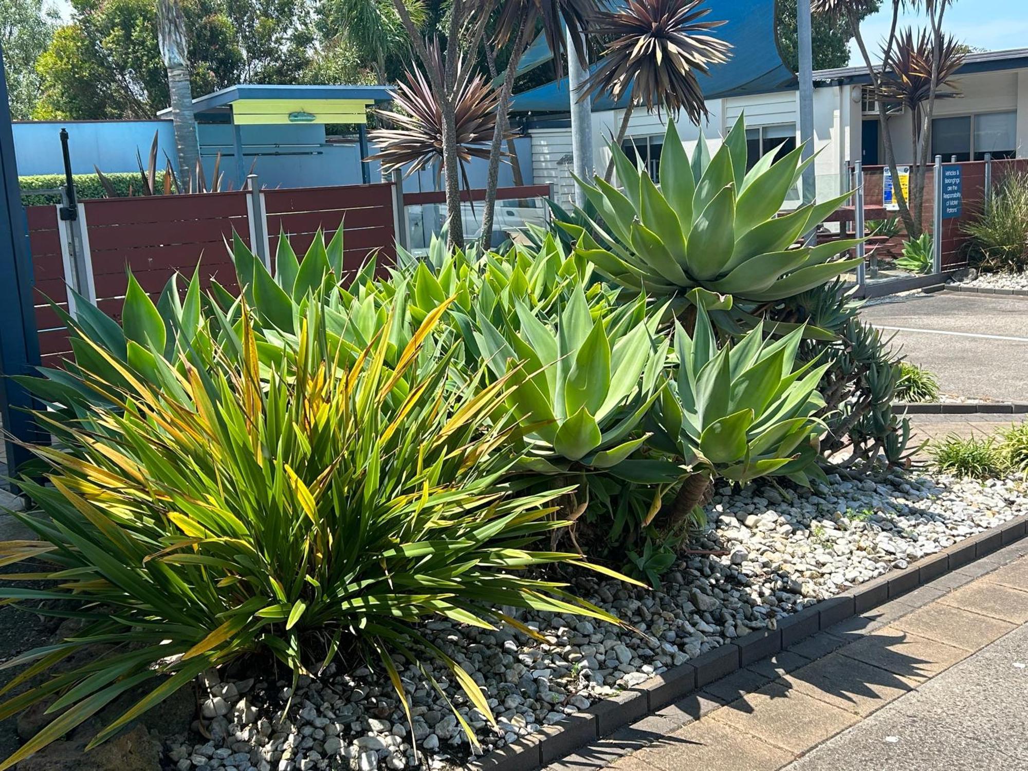 Portarlington Beach Motel Exterior photo